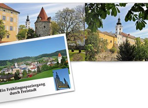 Echtfoto Taschenbuch