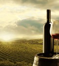 Badische Weine