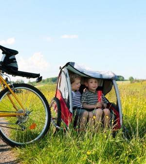 Fahrradanhänger kinder