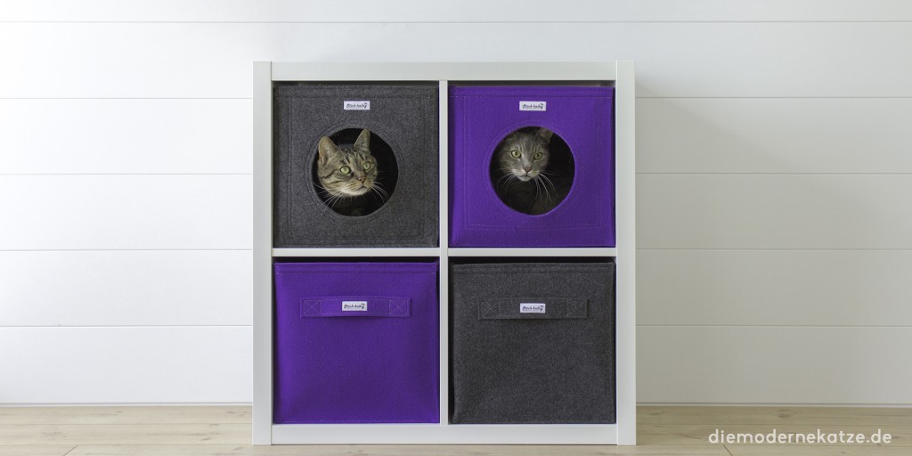Katzen in Katzenhöhle für Ikea Kallax